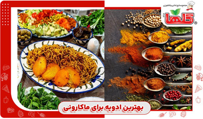 بهترین ادویه برای ماکارونی